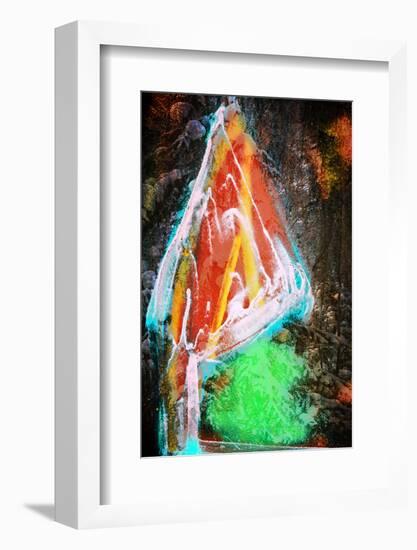 Lone Pine-Ursula Abresch-Framed Photographic Print