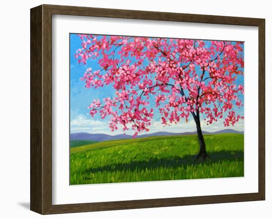 Lone Pink Blossom Tree-Patty Baker-Framed Art Print