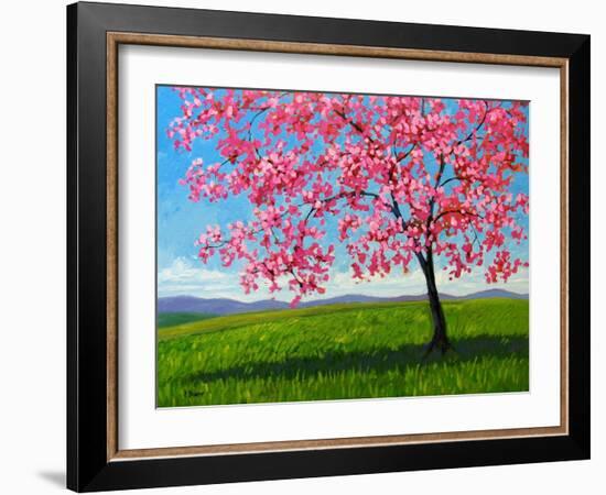 Lone Pink Blossom Tree-Patty Baker-Framed Art Print