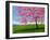 Lone Pink Blossom Tree-Patty Baker-Framed Art Print