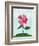 Lone Poppy-Cody Alice Moore-Framed Art Print