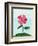 Lone Poppy-Cody Alice Moore-Framed Art Print