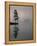 Lone Scots Pine, in Mist on Edge of Lake, Strathspey, Highland, Scotland, UK-Pete Cairns-Framed Premier Image Canvas