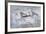 Lone Spitfire-Gerald Coulson-Framed Premium Giclee Print