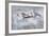 Lone Spitfire-Gerald Coulson-Framed Premium Giclee Print