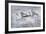 Lone Spitfire-Gerald Coulson-Framed Premium Giclee Print