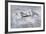 Lone Spitfire-Gerald Coulson-Framed Premium Giclee Print