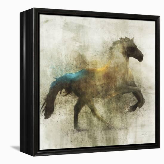 Lone Star 3-Ken Roko-Framed Stretched Canvas