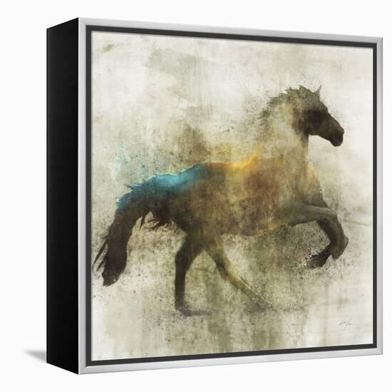 Lone Star 3-Ken Roko-Framed Stretched Canvas