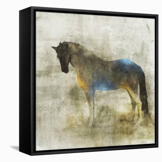 Lone Star 4-Ken Roko-Framed Stretched Canvas