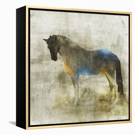 Lone Star 4-Ken Roko-Framed Stretched Canvas
