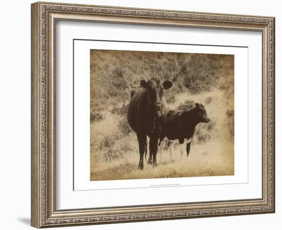 Lone Star Cows I-Jarman Fagalde-Framed Art Print