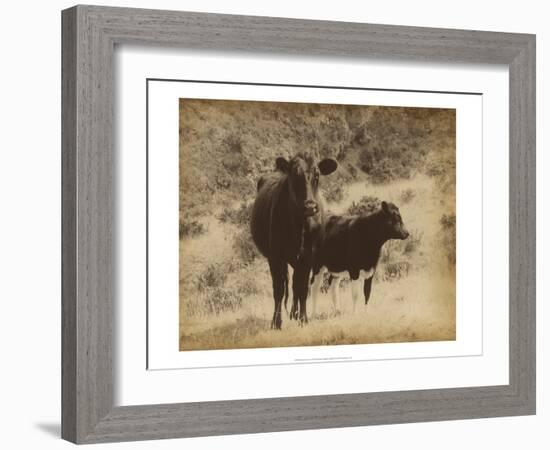 Lone Star Cows I-Jarman Fagalde-Framed Art Print