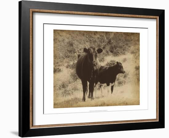 Lone Star Cows I-Jarman Fagalde-Framed Art Print