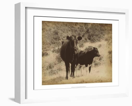 Lone Star Cows I-Jarman Fagalde-Framed Art Print