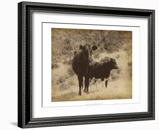 Lone Star Cows I-Jarman Fagalde-Framed Art Print