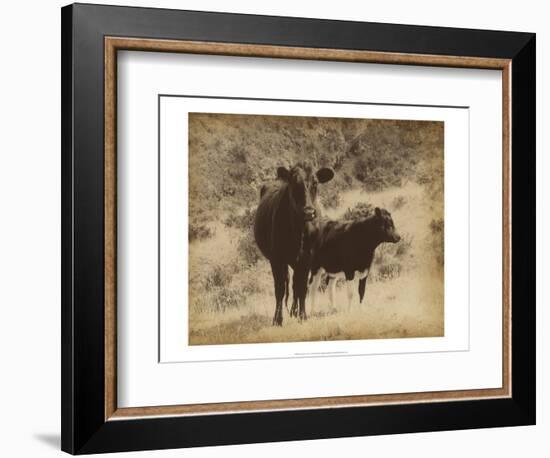 Lone Star Cows I-Jarman Fagalde-Framed Art Print