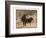 Lone Star Cows I-Jarman Fagalde-Framed Art Print