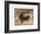 Lone Star Cows I-Jarman Fagalde-Framed Art Print