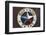 Lone Star of Texas, John Mueller Meat Company, Austin, Texas, USA-Chuck Haney-Framed Photographic Print