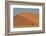 Lone tree and tall sand dune, Sossusvlei Namibia-Darrell Gulin-Framed Photographic Print