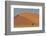 Lone tree and tall sand dune, Sossusvlei Namibia-Darrell Gulin-Framed Photographic Print