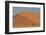 Lone tree and tall sand dune, Sossusvlei Namibia-Darrell Gulin-Framed Photographic Print