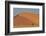 Lone tree and tall sand dune, Sossusvlei Namibia-Darrell Gulin-Framed Photographic Print