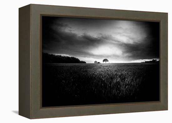 Lone Tree At Deffer-Rory Garforth-Framed Premier Image Canvas