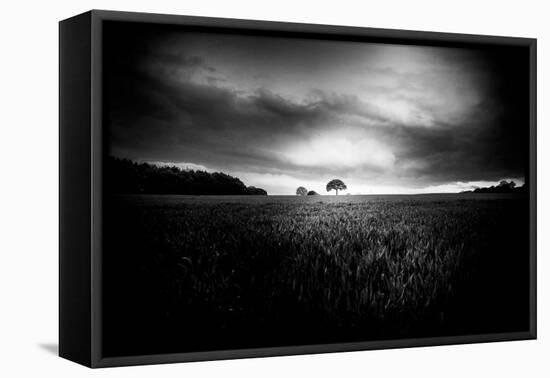 Lone Tree At Deffer-Rory Garforth-Framed Premier Image Canvas