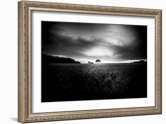 Lone Tree At Deffer-Rory Garforth-Framed Photographic Print