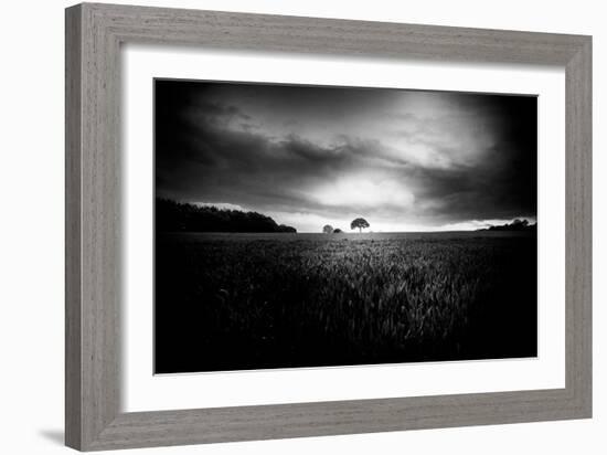 Lone Tree At Deffer-Rory Garforth-Framed Photographic Print