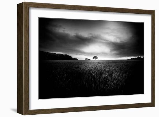 Lone Tree At Deffer-Rory Garforth-Framed Photographic Print