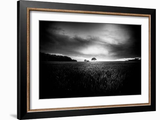 Lone Tree At Deffer-Rory Garforth-Framed Photographic Print