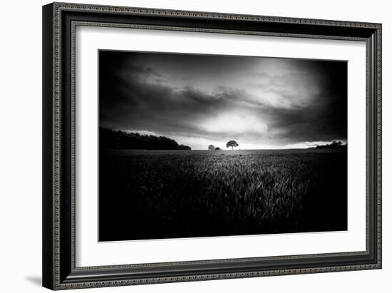 Lone Tree At Deffer-Rory Garforth-Framed Photographic Print