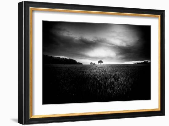 Lone Tree At Deffer-Rory Garforth-Framed Photographic Print