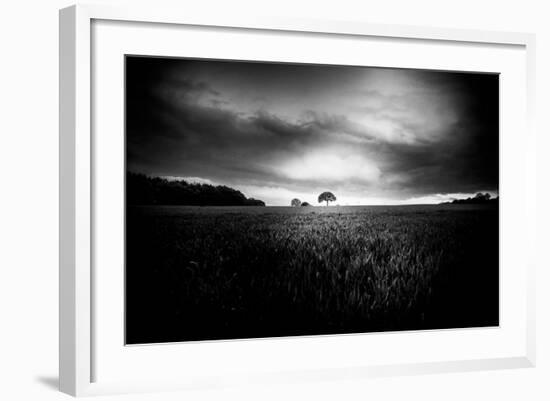 Lone Tree At Deffer-Rory Garforth-Framed Photographic Print