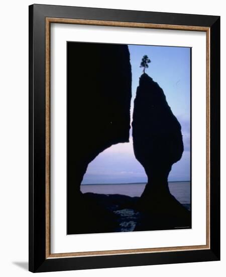 Lone Tree Atop a Tide Sculptured Pillar of Limestone Towering 70 Ft. High, Bay of Fundy-George Silk-Framed Photographic Print