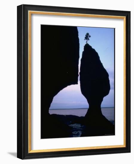 Lone Tree Atop a Tide Sculptured Pillar of Limestone Towering 70 Ft. High, Bay of Fundy-George Silk-Framed Photographic Print