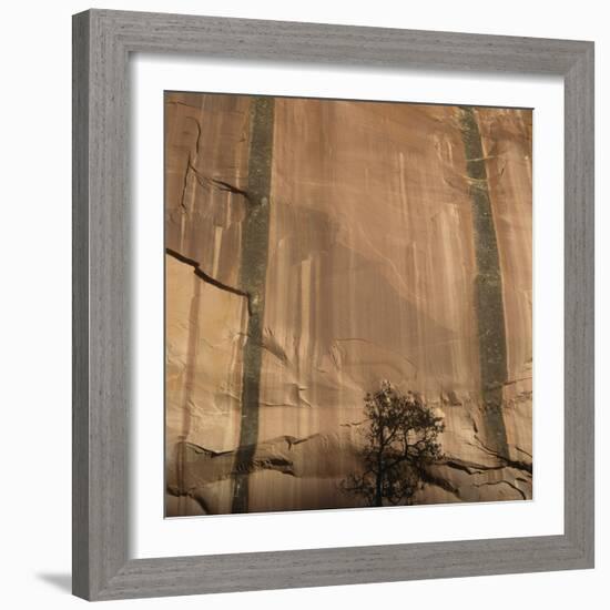 Lone Tree Beneath a Sheer Cliff Face-Micha Pawlitzki-Framed Photographic Print