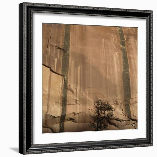 Lone Tree Beneath a Sheer Cliff Face-Micha Pawlitzki-Framed Photographic Print