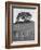 Lone Tree & Fence, Costa-Monte Nagler-Framed Photographic Print