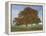 Lone Tree in Autumn-AdventureArt-Framed Premier Image Canvas
