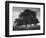 Lone Tree in Autumn-AdventureArt-Framed Photographic Print