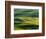 Lone tree in fields of wheat, peas and barley-Terry Eggers-Framed Photographic Print