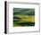 Lone tree in fields of wheat, peas and barley-Terry Eggers-Framed Photographic Print