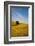 Lone Tree in Harvest Wheat, Palouse Country, Washington, USA-Terry Eggers-Framed Photographic Print