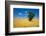 Lone Tree in Harvest Wheat, Palouse Country, Washington, USA-Terry Eggers-Framed Photographic Print