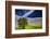 Lone Tree in Rolling Hills of Wheat-Terry Eggers-Framed Photographic Print