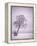 Lone Tree in Snow-Jim Zuckerman-Framed Premier Image Canvas